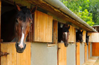 free Limavady stable construction quotes